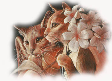 Copia di Catz 1